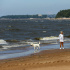 Полтора десятка пляжей ждут людей в Курортном районе Петербурга